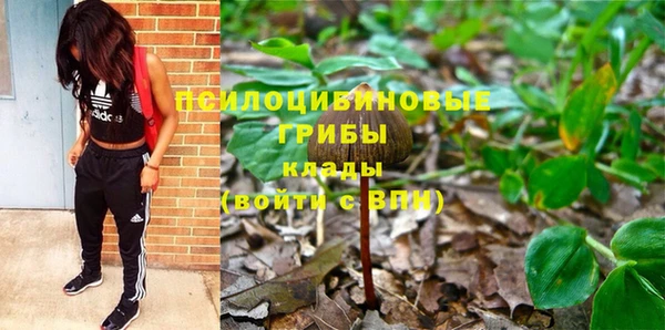 дживик Абаза