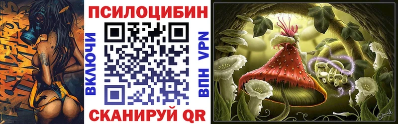 darknet как зайти  Павловский Посад  Галлюциногенные грибы мицелий 